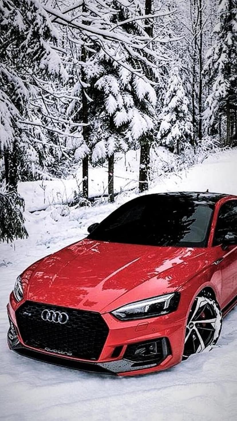 Red Audi coupe parked on a snow-covered path surrounded by frost-laden pine trees in a winter forest.