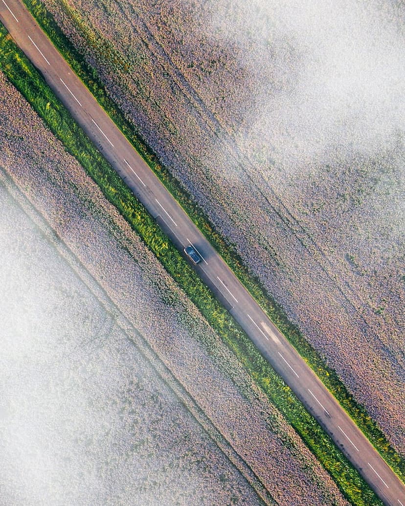 A car drives on a narrow road cutting through misty green and brown farmland from an overhead perspective.