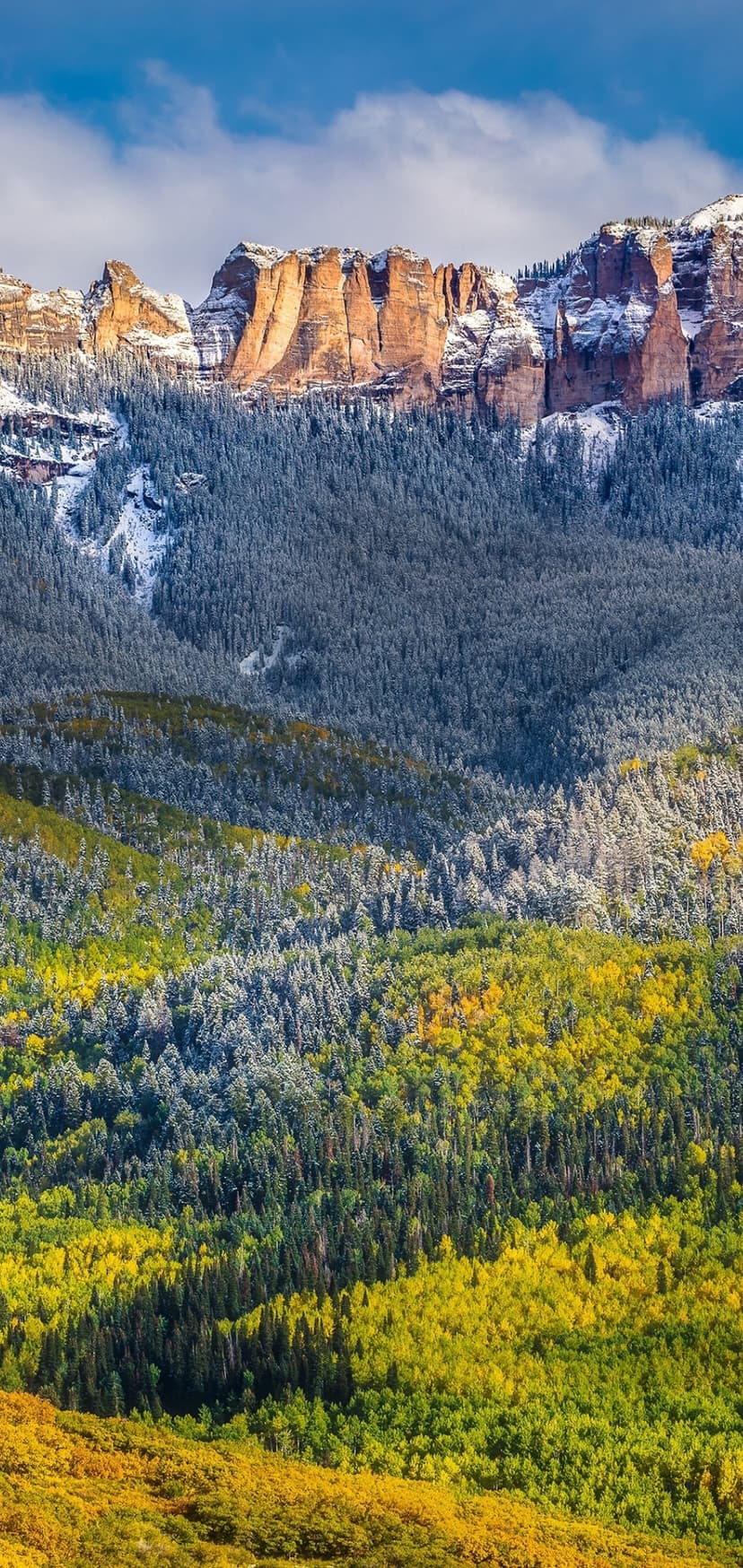 Golden aspen trees and snow-dusted evergreens grow beneath rugged mountain peaks under a bright, cloudy sky.