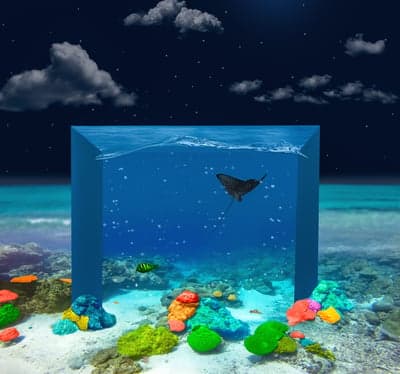 Nighttime Underwater Scene with Stingray and Coral Reef