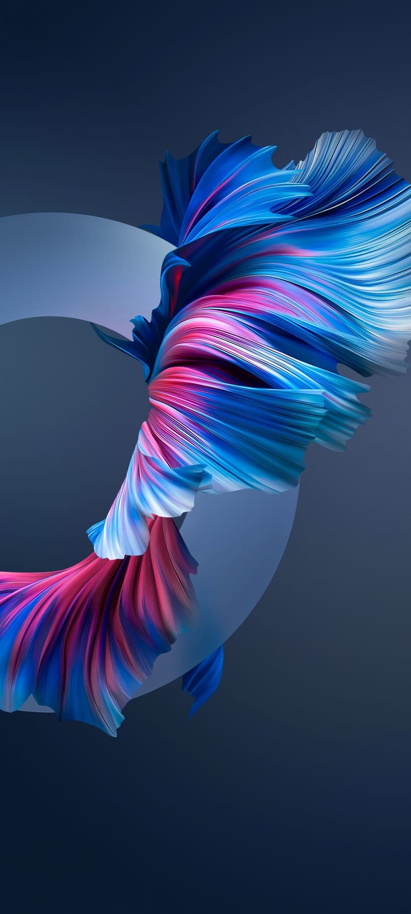 Blue and pink silk ribbons curve around a translucent geometric ring against a deep navy background.