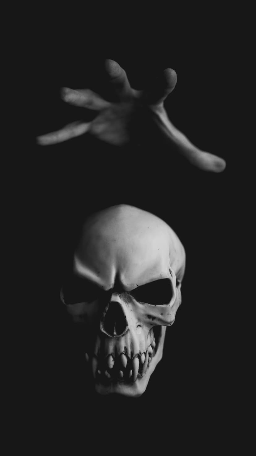 Human skull with hollow sockets rests in shadow while a blurred hand reaches down from the darkness above.