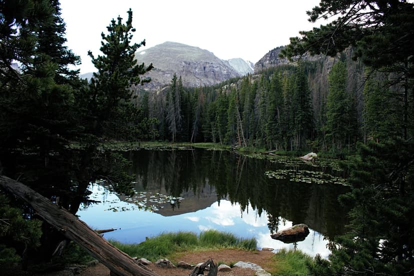 Granite peaks reflect in a clear mountain pool bordered by dense fir trees and a weathered log on the bank.