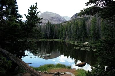 Tranquil mountain lake reflection surrounded by pine forest