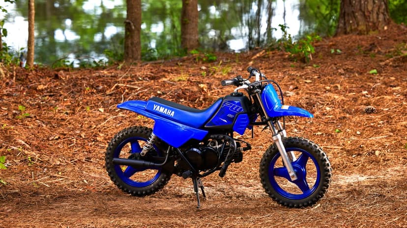 Blue Yamaha PW50 kids dirt bike parked on pine needles with a blurred forest and water background.