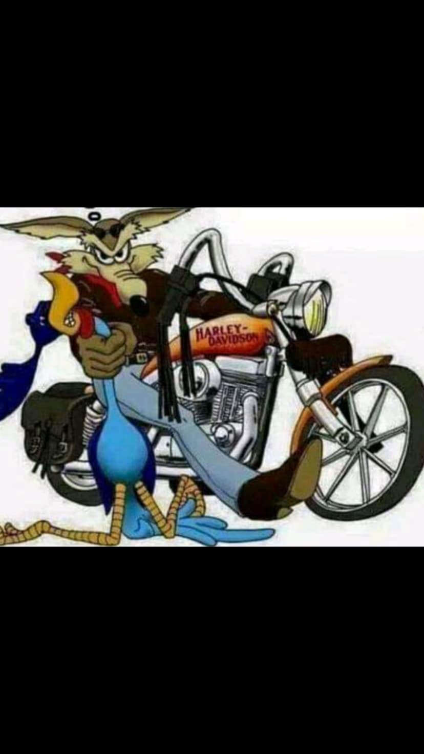 Wile E. Coyote struggles to steer a Harley-Davidson motorcycle while the Road Runner balances on the front fender.