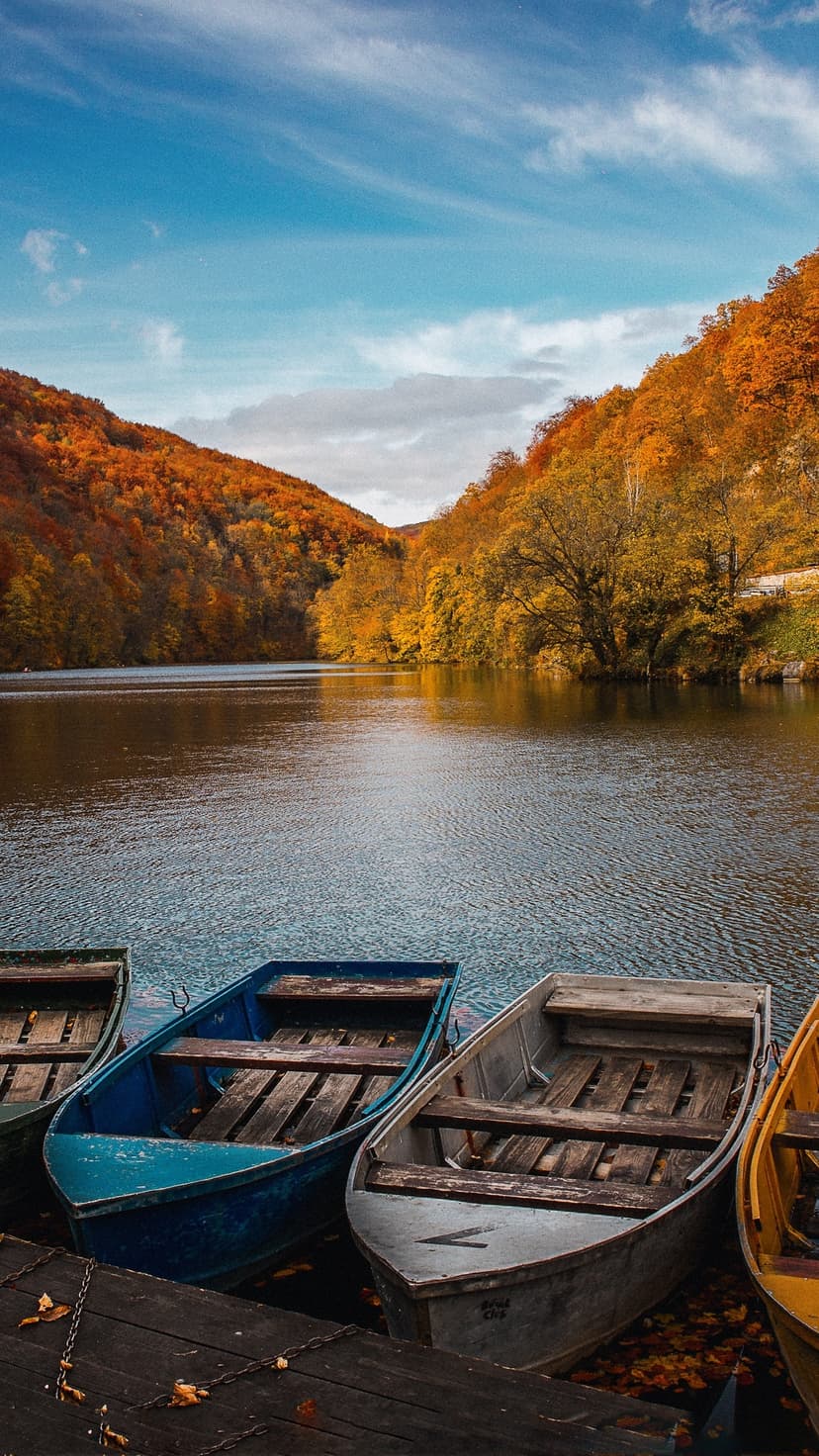 Colorful rowboats docked on a calm lake mirror the orange and yellow autumn trees on a steep hill behind them.