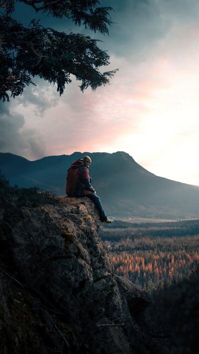 Furred Majesty - Close-up of a Wolf's Intense Gaze