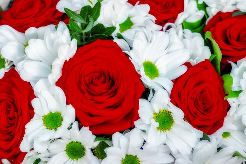 Red roses and white daisies in a close-up overhead bouquet showcasing velvety petals and green centers.