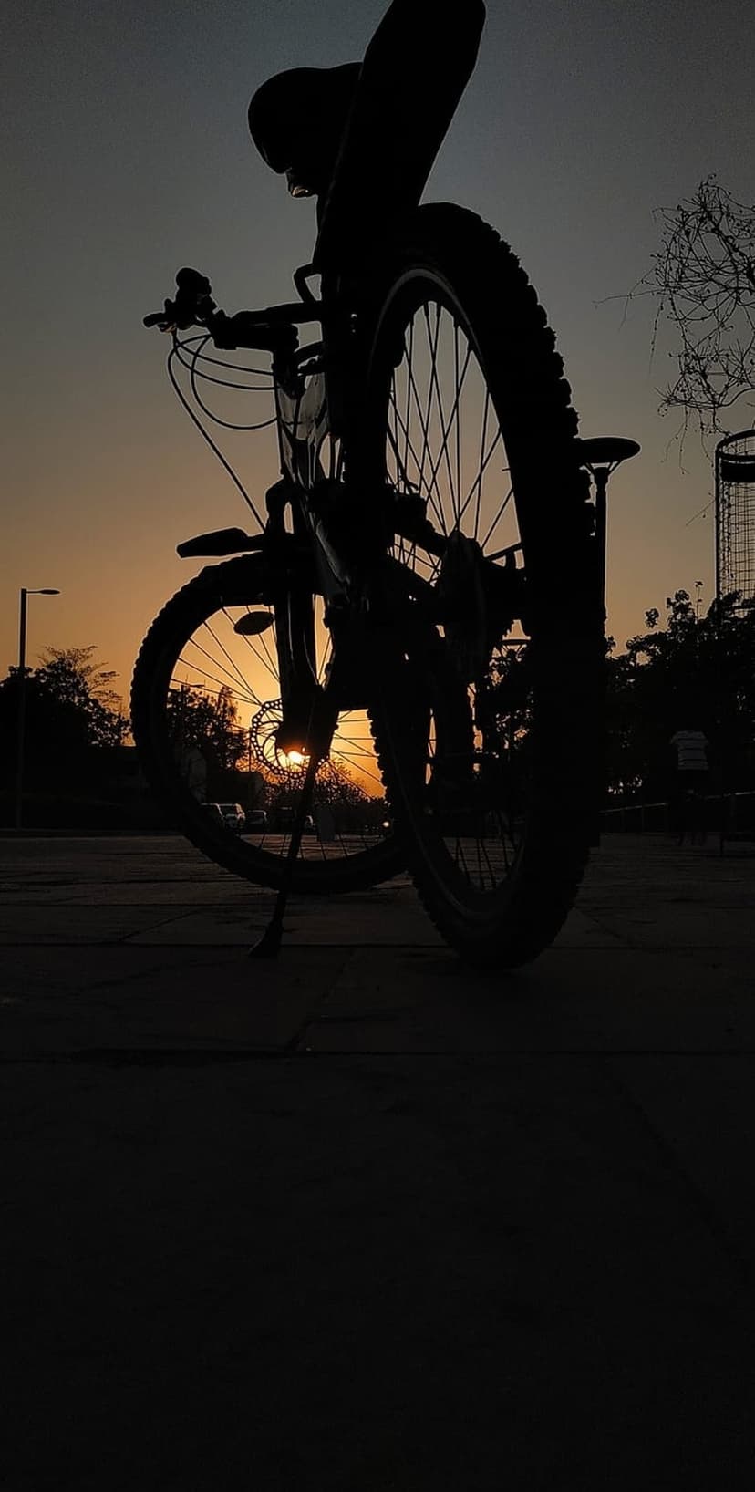 Bicycle silhouette with sun flare through disc brakes and spokes against an orange golden hour sky and trees.
