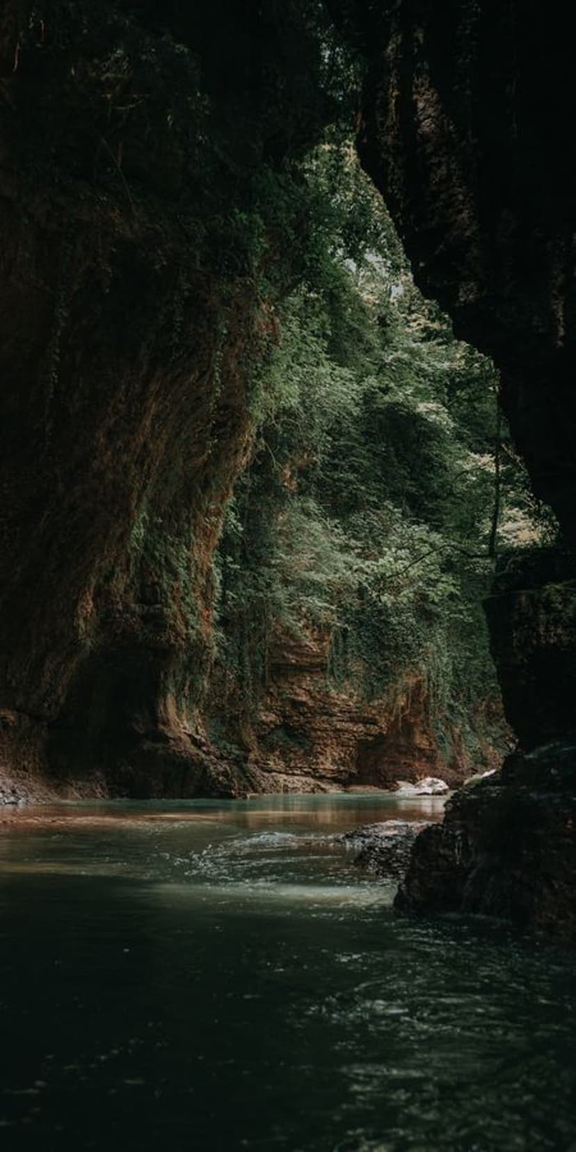 Serene river flows between steep rocky cliffs covered in thick green moss and draping ferns under soft light.