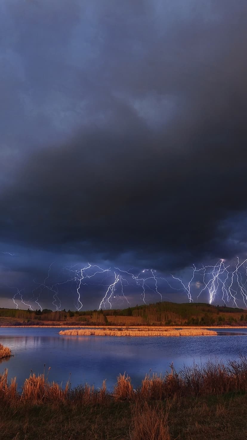 Multiple lightning bolts strike a dark lake, reflecting on the water surface with reeds in the foreground.