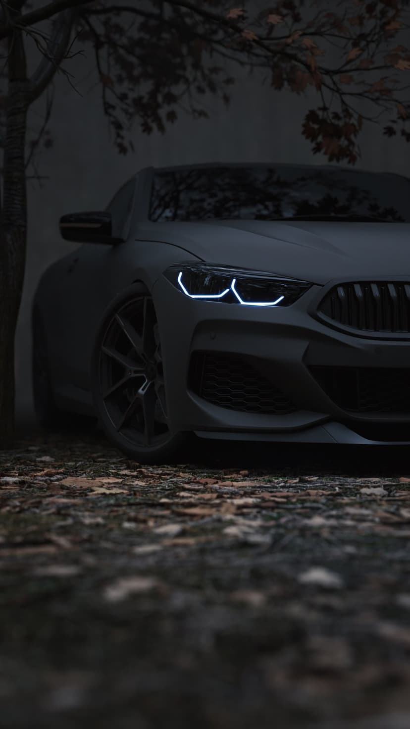 BMW M8 Coupe with glowing headlights parked on a bed of dry autumn leaves under bare tree branches at night.