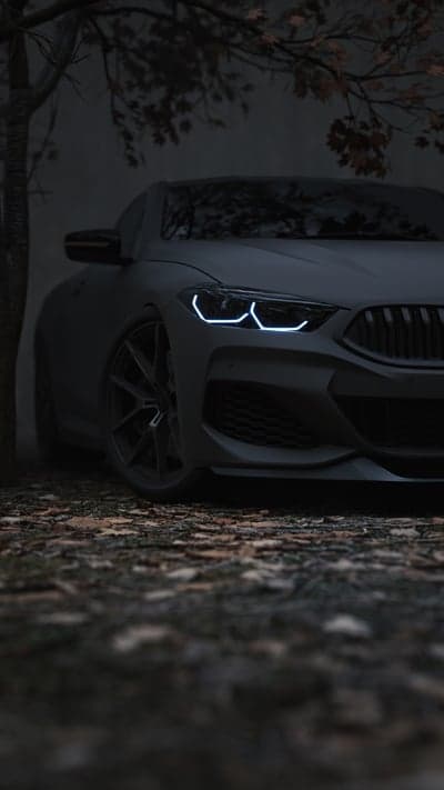 Dark BMW M8 Coupe Autumn Scene