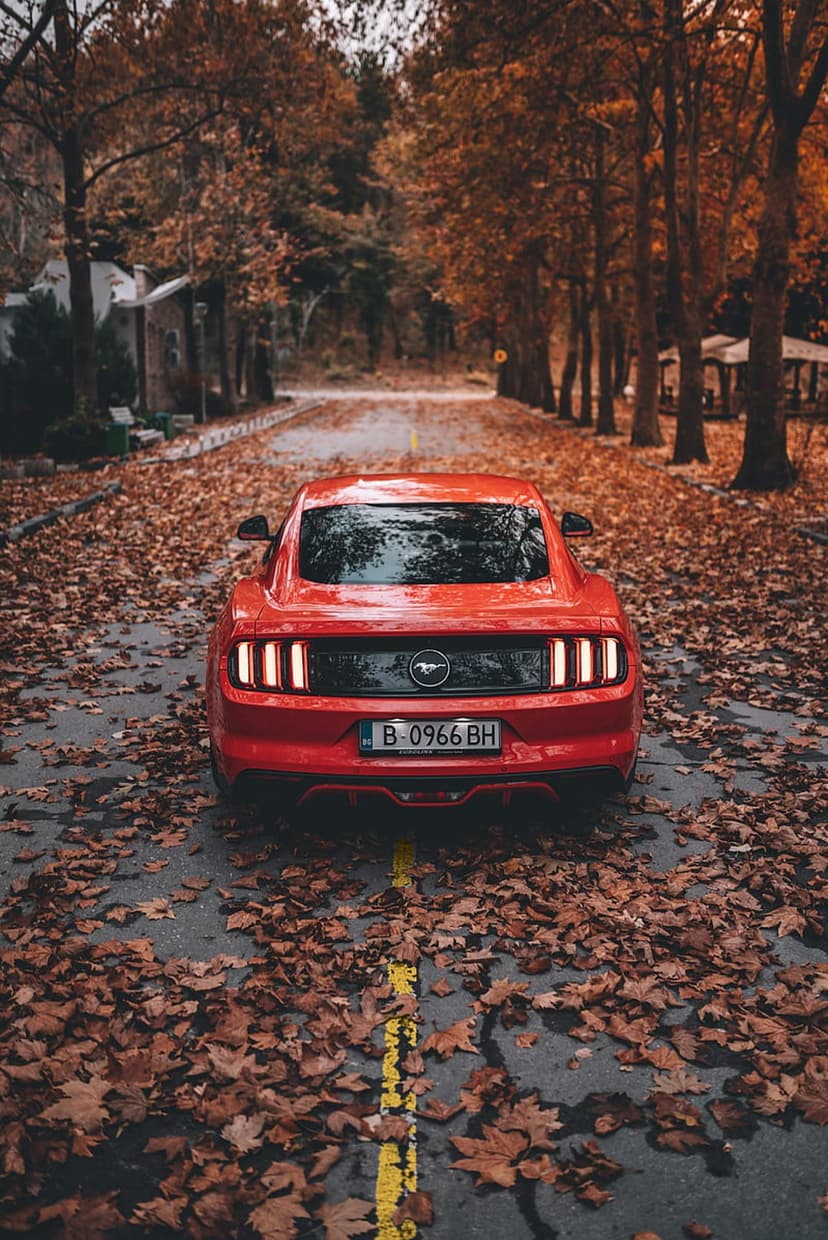 Red Ford Mustang viewed from behind on an asphalt road covered in orange autumn leaves under tall forest trees.