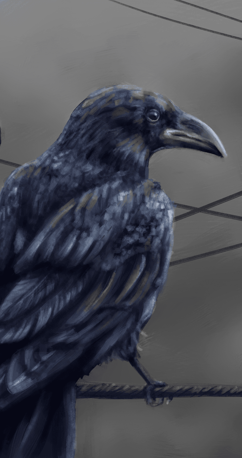 Raven with detailed black feathers and a sharp eye perches on a wire against a muted gray geometric background.