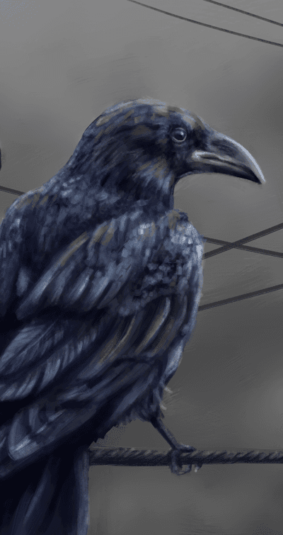 Dark Raven Perched on Wire Mobile Wallpaper Portrait