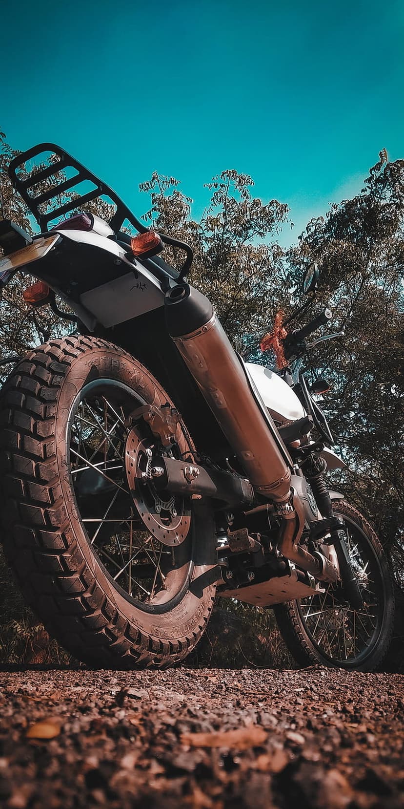 Adventure motorcycle with aggressive tire tread parked on a dirt trail amidst green forest under a clear sky.