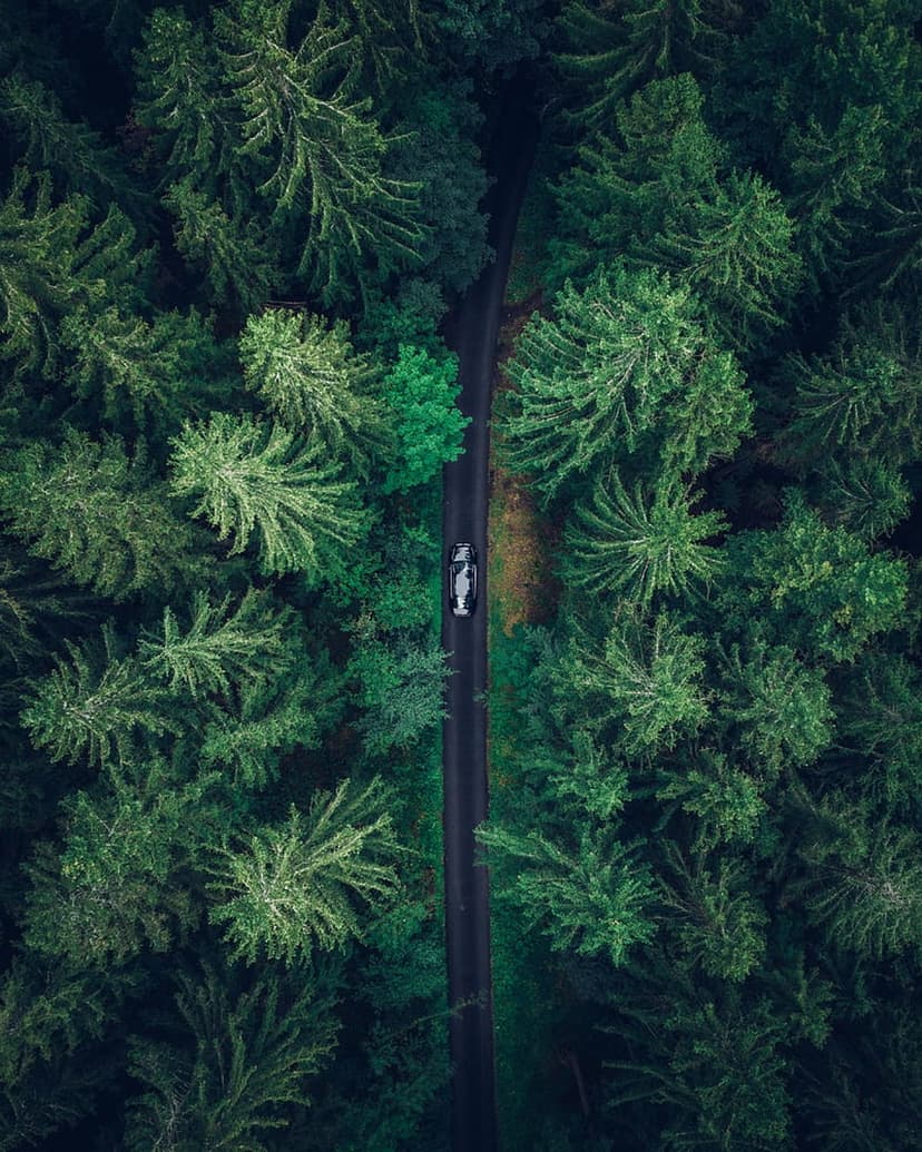 Black car driving on a curved road through a dense green forest viewed from a high-angle drone perspective.