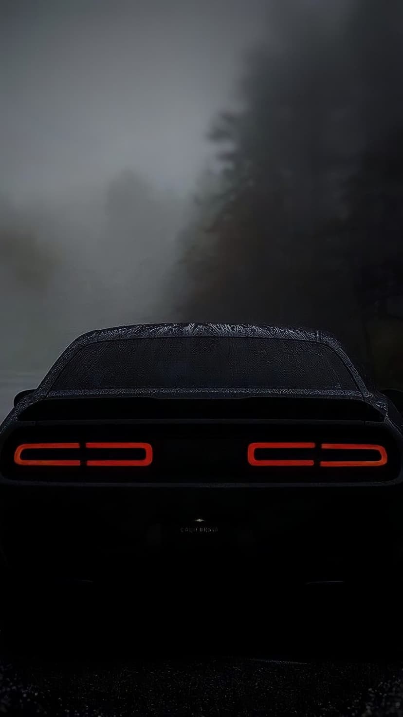 Dodge Challenger red taillights glowing through heavy fog and dark trees on a wet asphalt road at night.