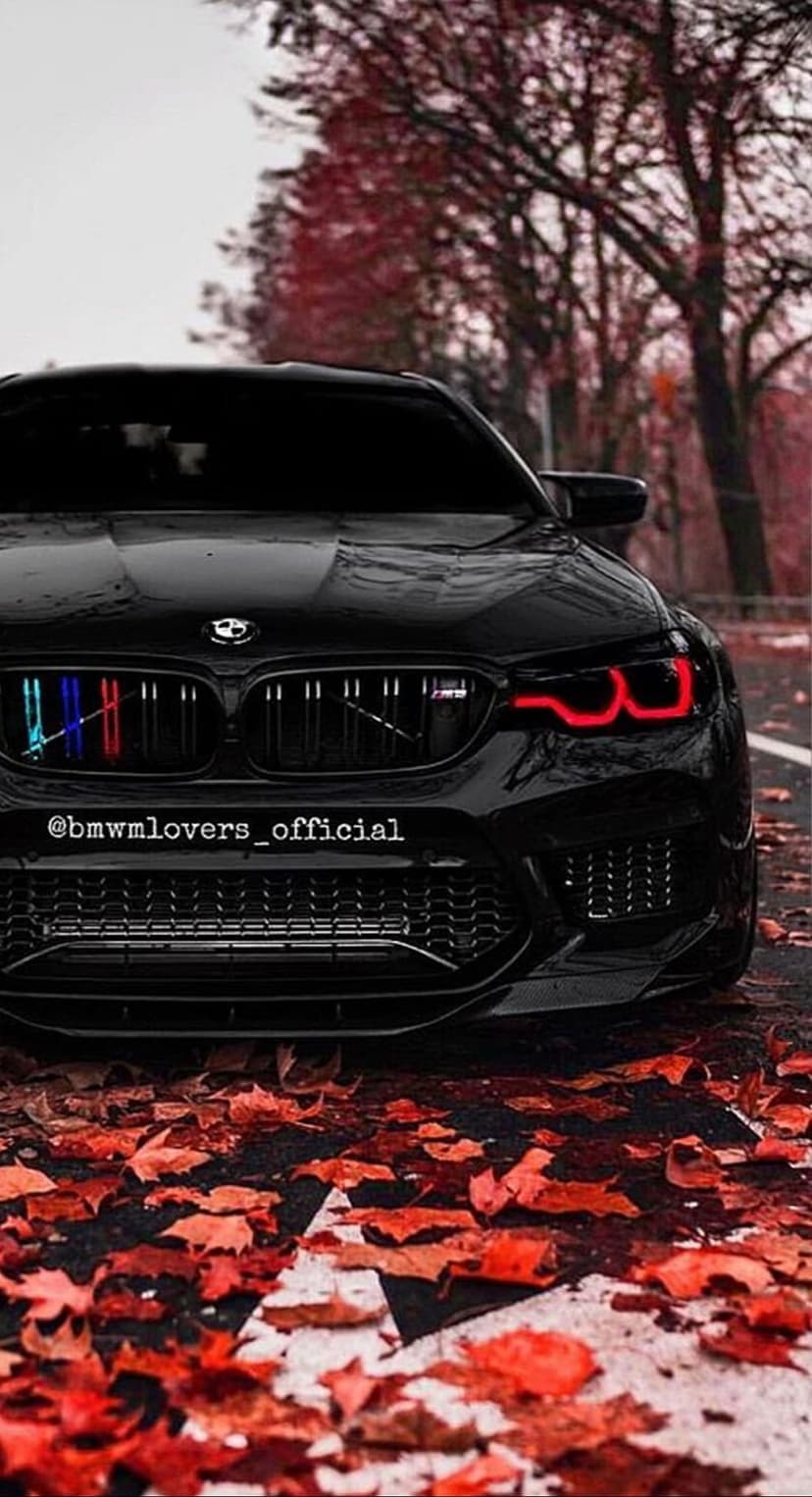 Black BMW M5 luxury sedan with red daytime running lights parked on a bed of red autumn leaves in a dark forest.