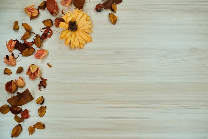 Yellow dried daisy and brown autumn leaves clustered on a light-colored wooden background with negative space.