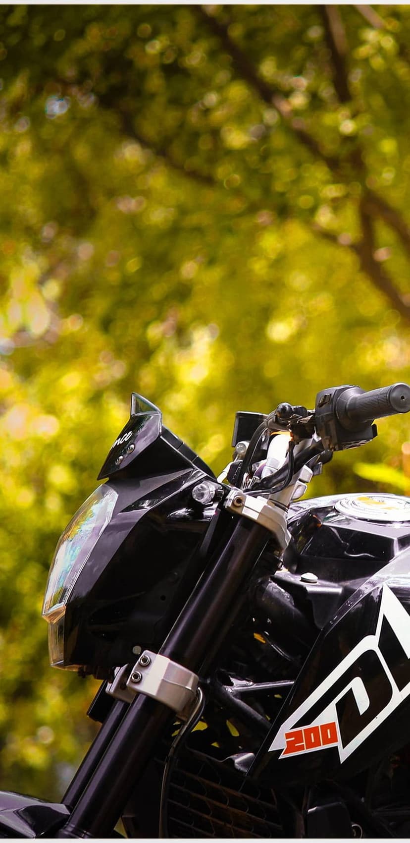 KTM Duke 200 motorcycle front headlight and handlebars with 200 graphics against a blurry green foliage background.