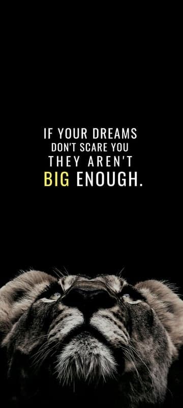 Lion's Gaze: Dreams Big Enough to Scare You