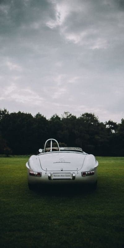 Classic Mercedes-Benz 300 SL Roadster rear view