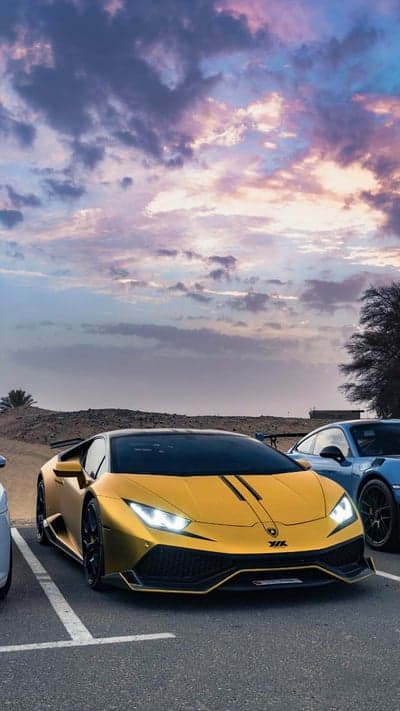 Golden Lamborghini and Blue Porsche Desert Sunset