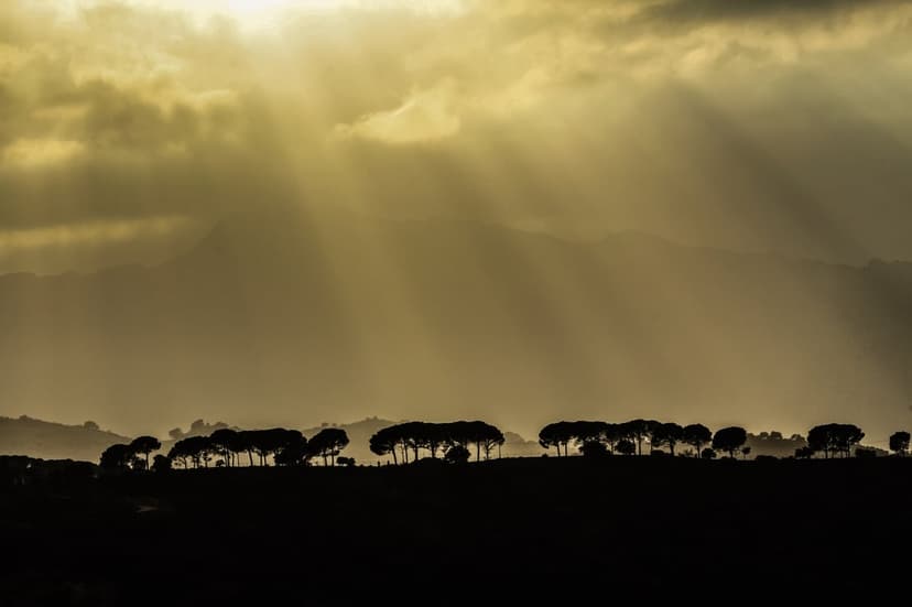 Golden sunbeams pierce through heavy storm clouds over the dark silhouettes of trees and distant rolling hills.