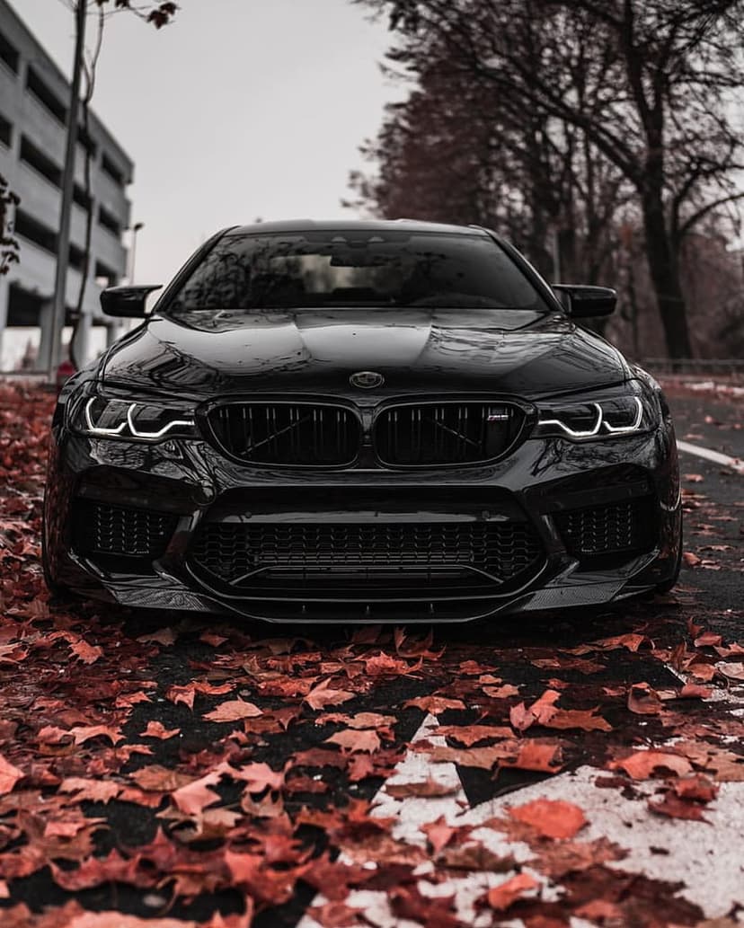 Black BMW M5 with glowing headlights parked on a road covered in red and orange autumn leaves in a forest.