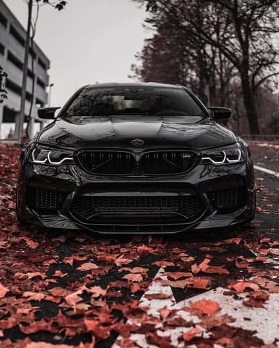 BMW M5 Sports Sedan in Autumn Foliage Mobile Wallpaper