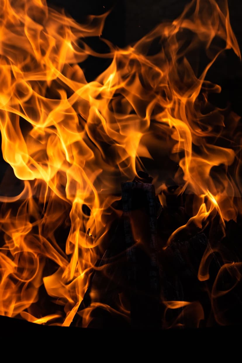 Vibrant orange flames and glowing embers flicker upward against a pitch-black background in a vertical close-up.