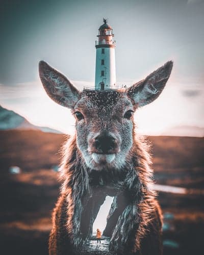 Surreal Lighthouse Deer Portrait Mobile Wallpaper