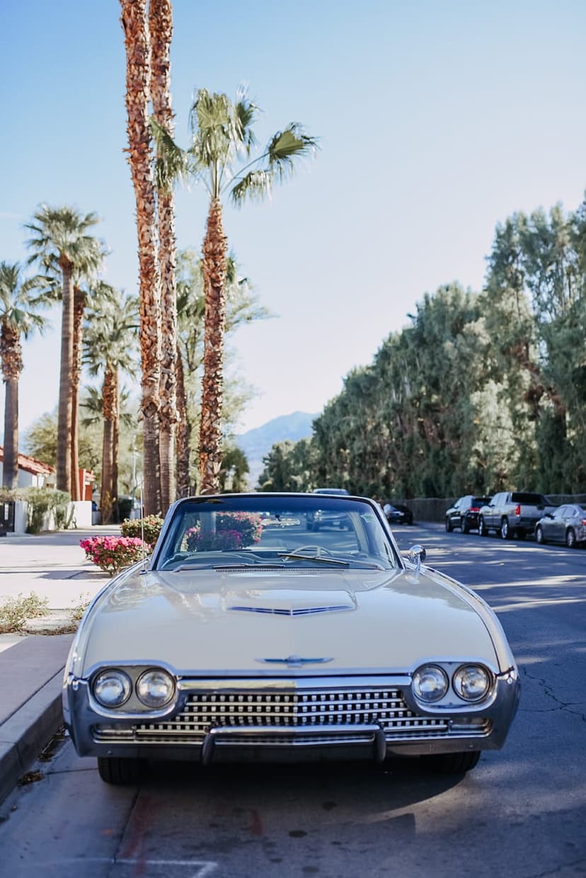 Yellow vintage convertible car parked between tall palm trees under a blue sky with pink flowers in the foreground.