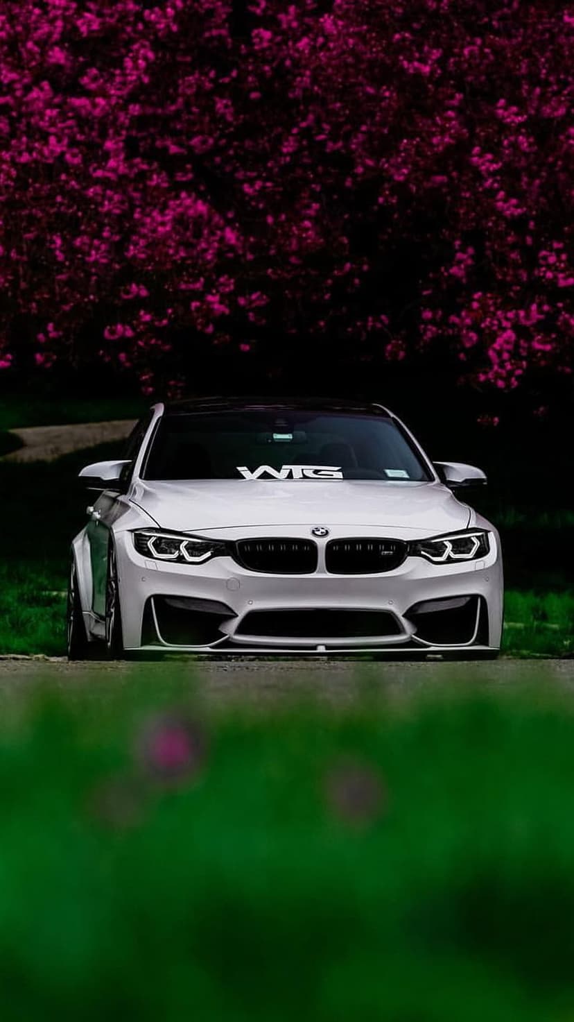 White BMW M4 luxury car parked on green grass surrounded by soft pink blossoms during a bright spring day.