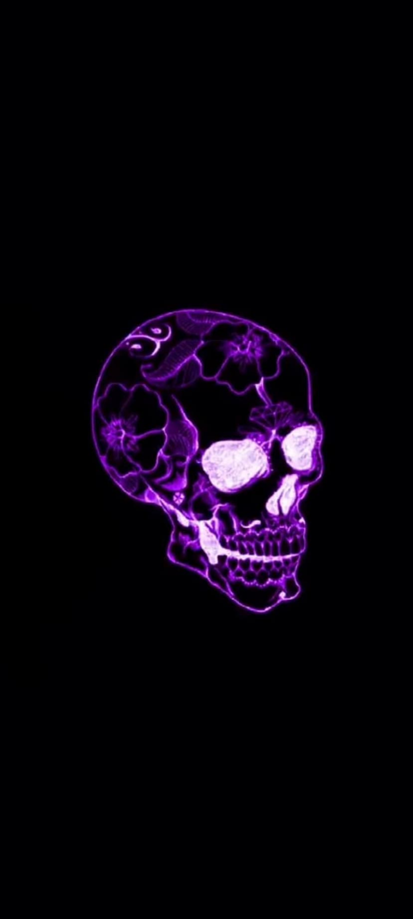 Human skull with glowing purple neon floral patterns inside the bone structure against a dark black background.