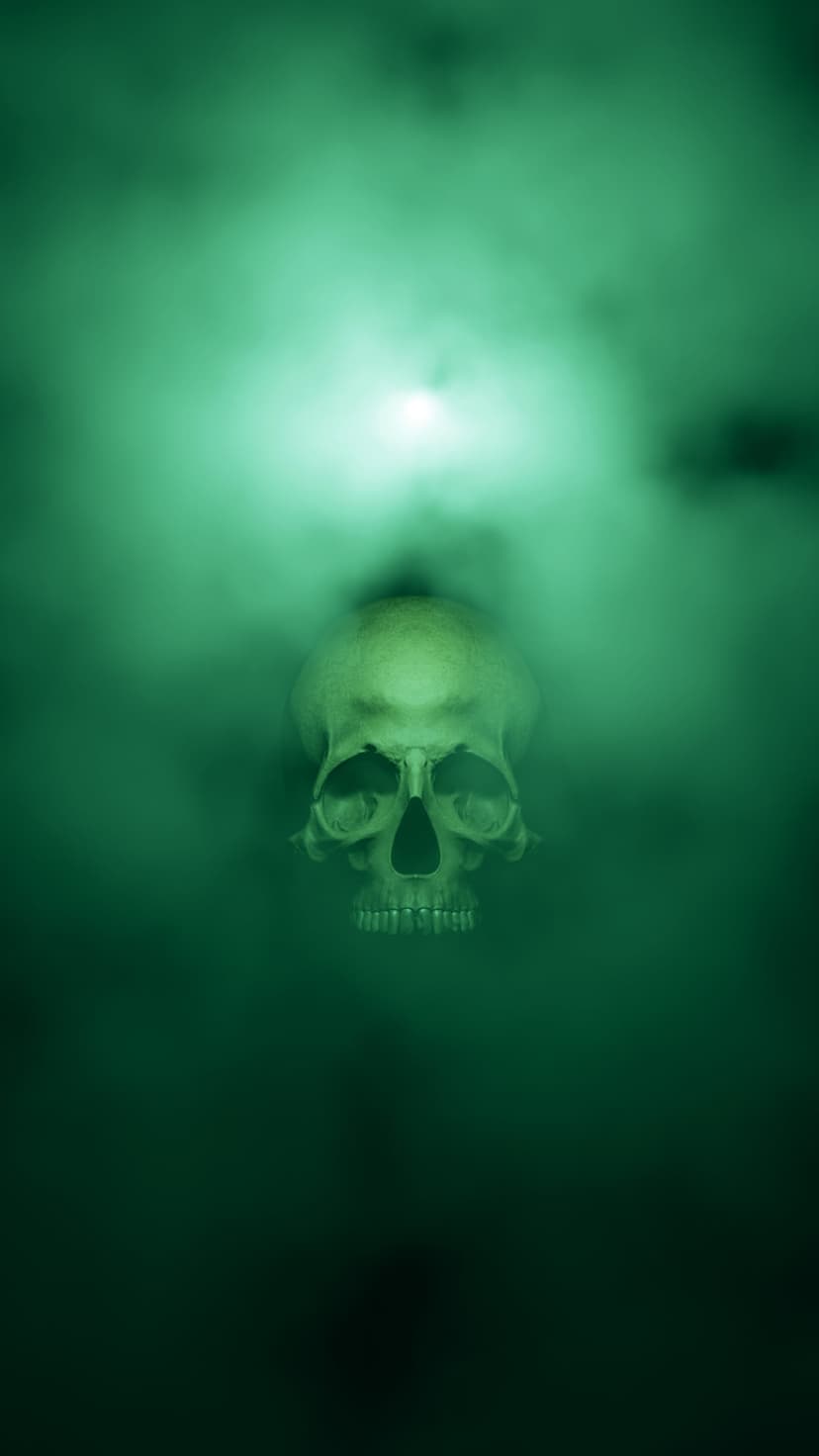Human skull with glowing green highlights emerging from thick emerald smoke against a dark black background.
