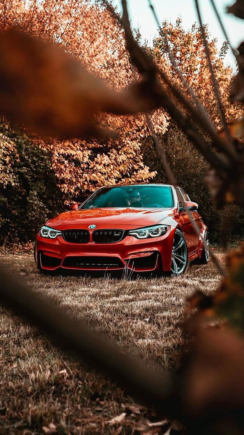 Red BMW M4 convertible parked on a road covered in orange autumn leaves with a soft blurred forest background.