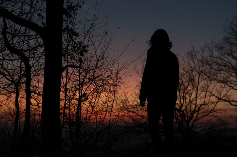 Lone person silhouetted against a fiery orange and blue sunset sky within a winter forest landscape.
