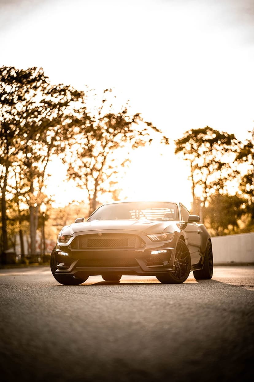 Black Ford Mustang GT parked on a road at sunset with golden light reflecting off the front grille and headlights.