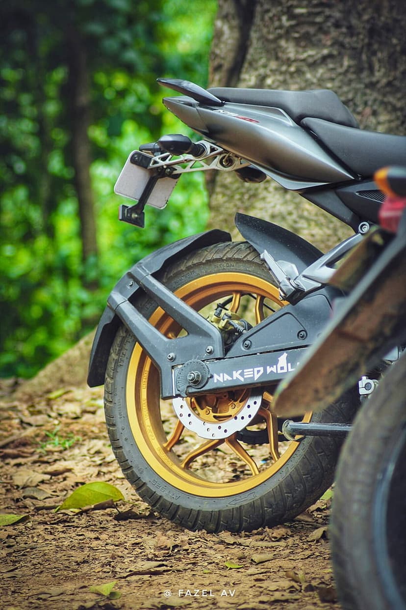 Golden motorcycle wheel and black custom tail section parked in front of lush green trees and soft forest light.
