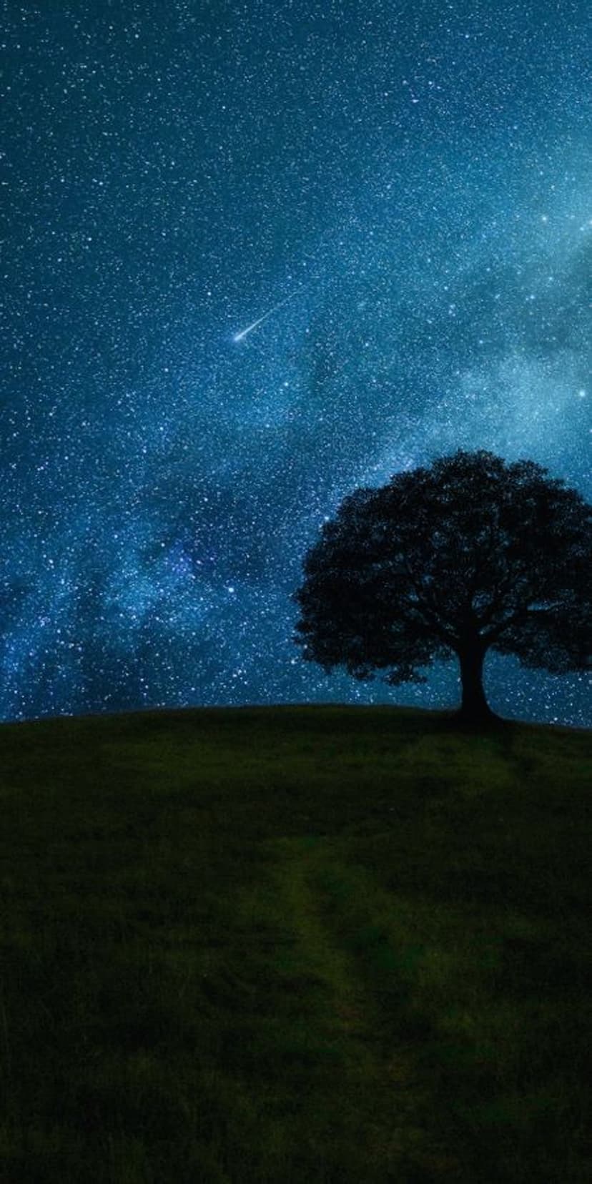 Solitary tree silhouette on a hill under a star-streaked night sky with a luminous celestial nebula.