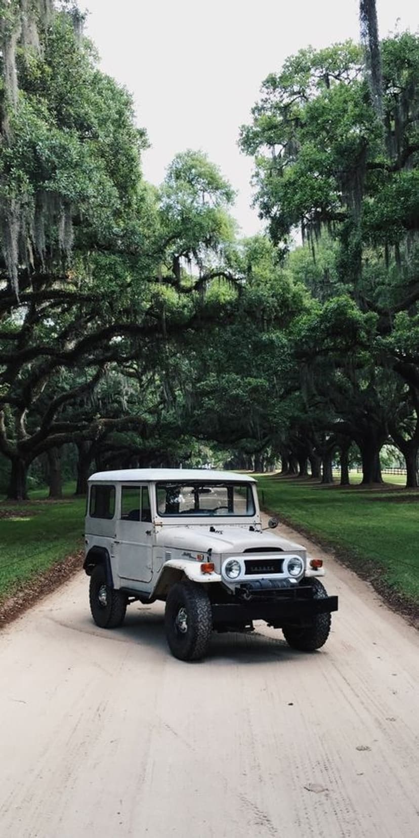 Vintage Land Cruiser parked on a dirt road under massive oak trees draped with hanging Spanish moss.