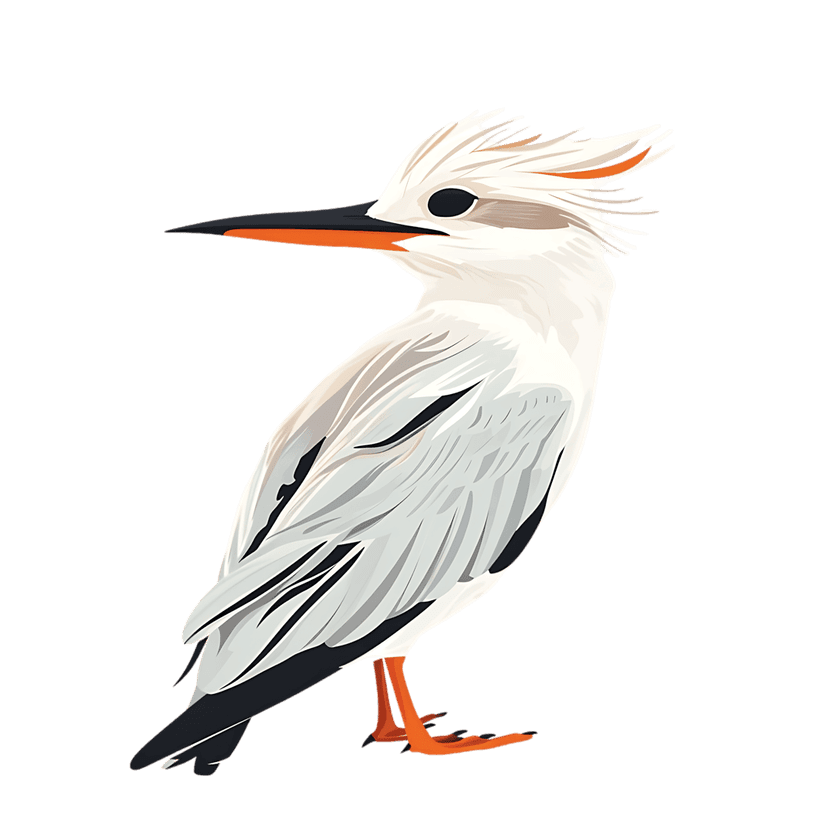 Kingfisher bird illustration featuring white feathers, grey wings, and orange beak against black background.