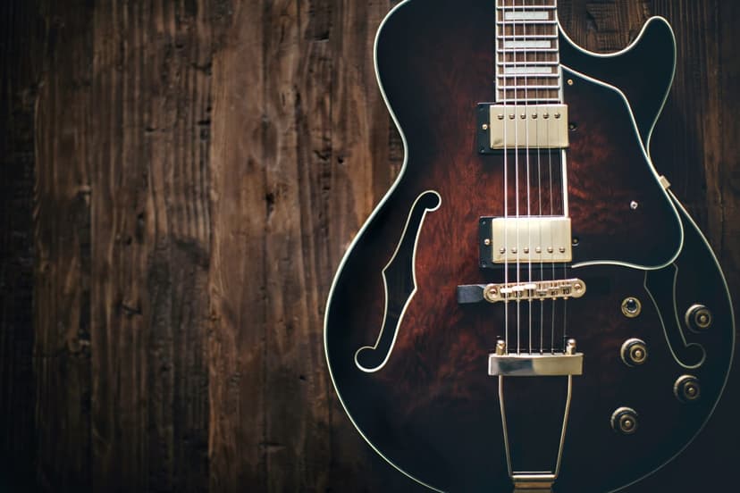 Dark brown hollow body guitar with gold hardware leans against rustic weathered wood planks in a close-up.