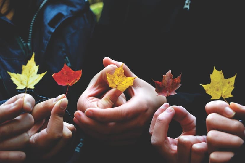 Hands holding colorful maple leaves in red and yellow shades against a dark blurred autumn background.