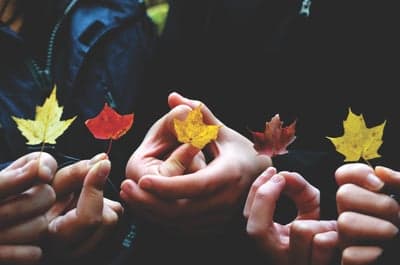 Vibrant Autumn Leaves Held in Hands Phone Wallpaper