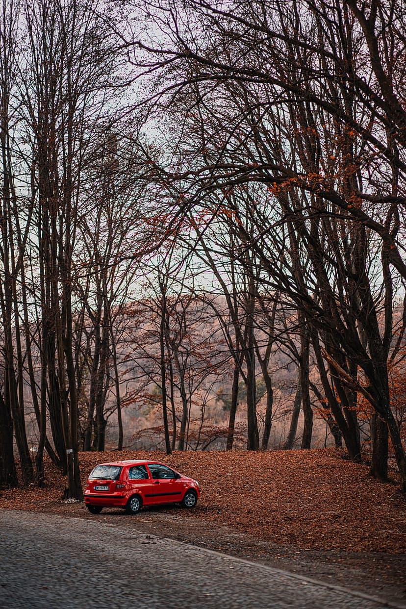 Red car parked on a cobblestone road covered in fallen orange leaves beneath a canopy of bare autumn trees.